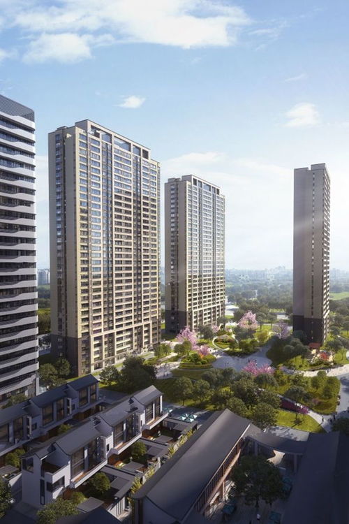 多維度解析辰雨如畫 冠魯房地產(chǎn)開發(fā)與濟(jì)寧豐碩置業(yè)的匠心之作